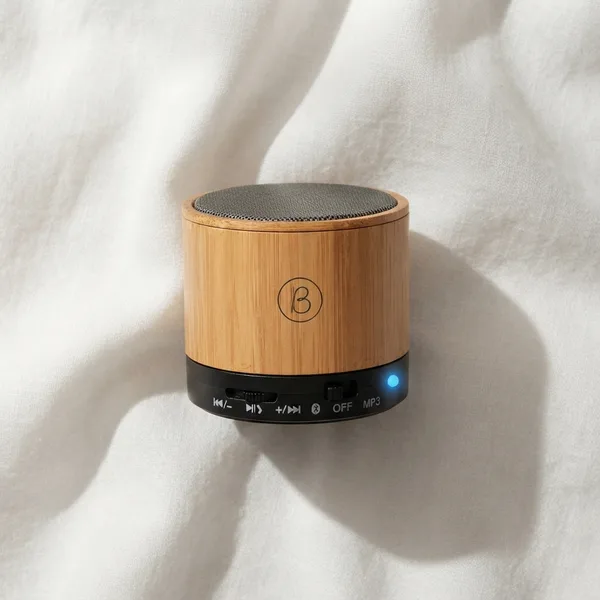 Speaker